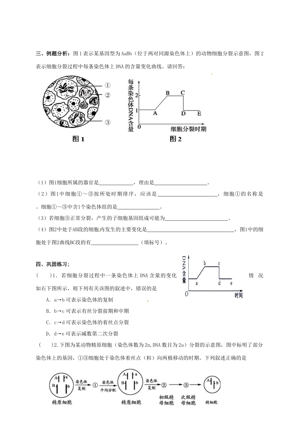 江苏省常州市高三生物一轮复习 细胞增殖学案-人教版高三全册生物学案_第3页
