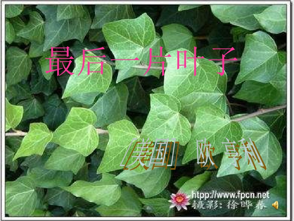 七年级语文上册最后一片叶子课件-北师大版_第1页