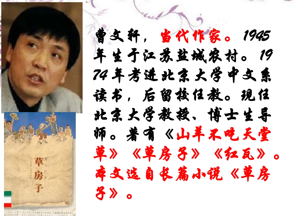 新疆石河子市第八中学九年级语文上册-《孤独之旅》课件_第2页