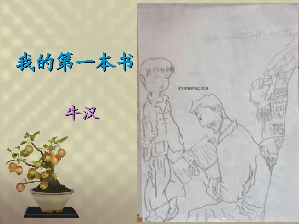 我的第一本书_第1页