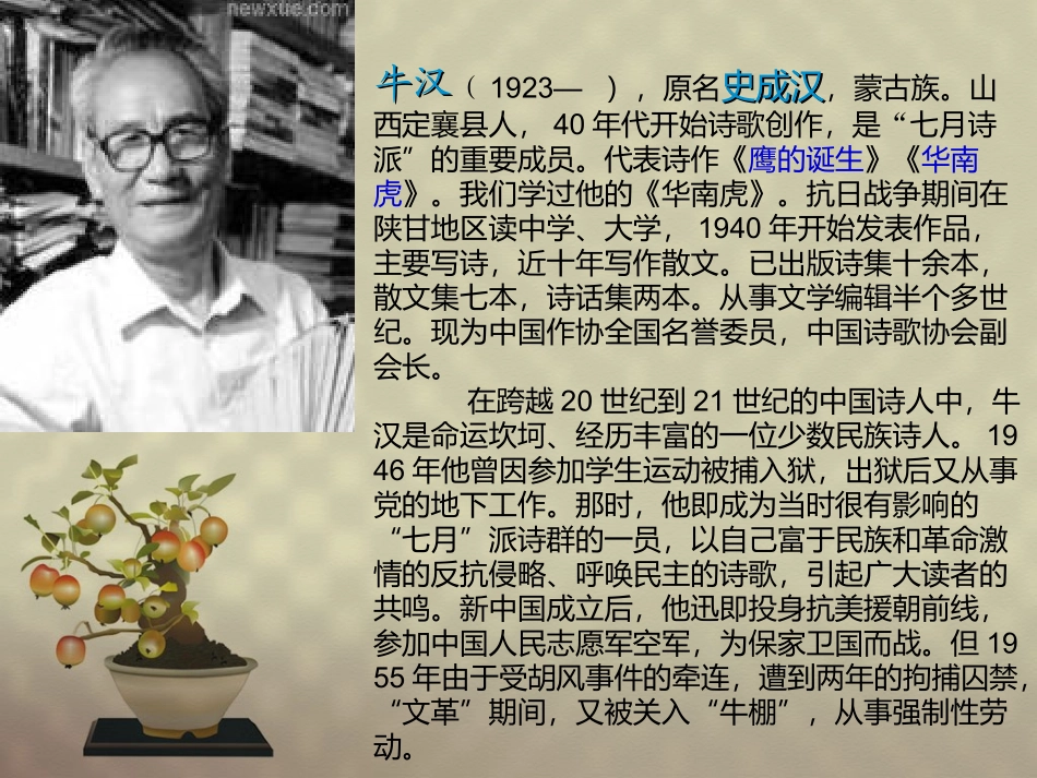 我的第一本书_第2页