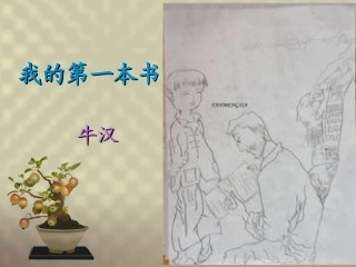 我的第一本书