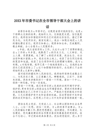 20XX年市委书记在全市领导干部大会上的讲话发言
