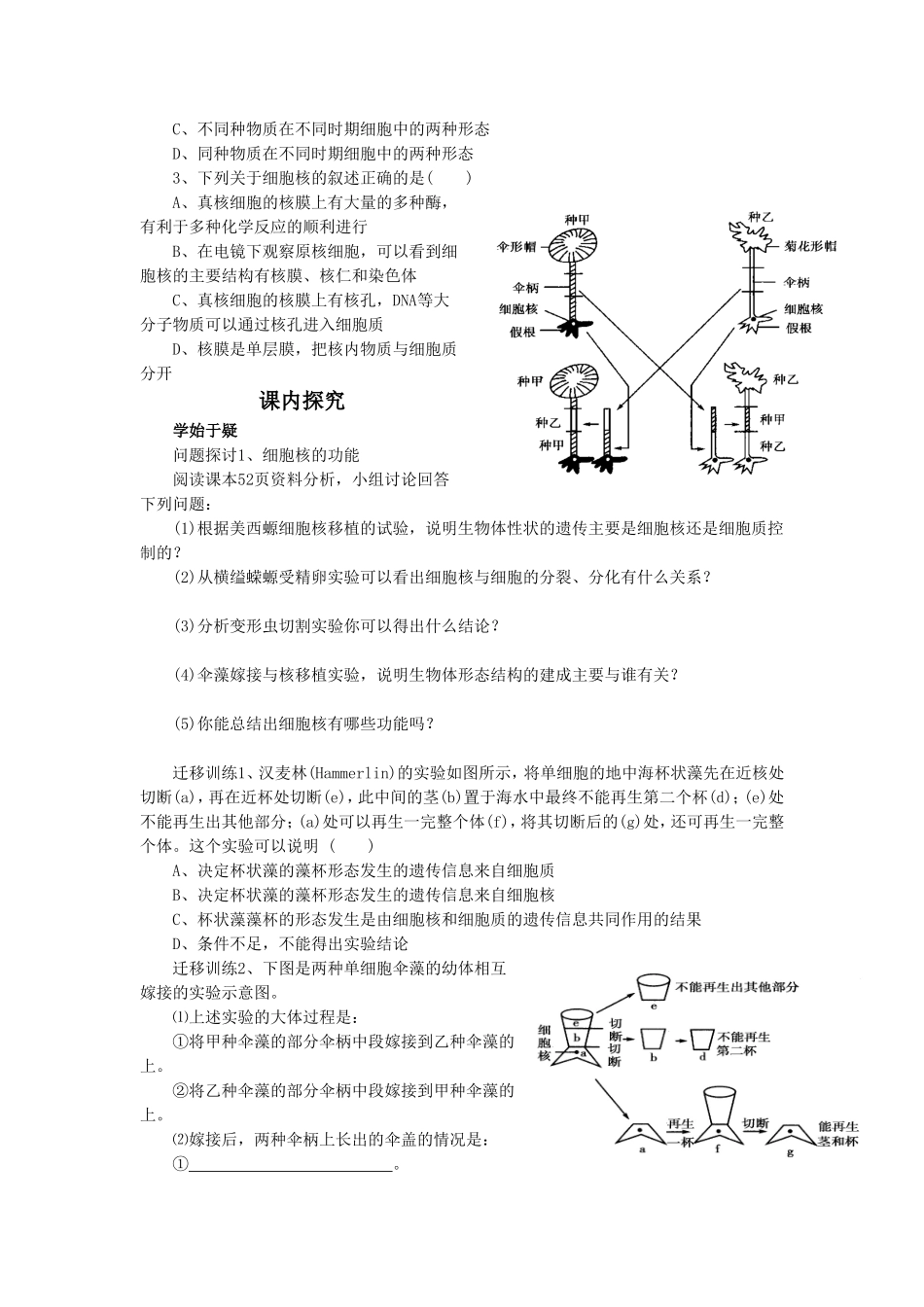 《2.4-细胞核》导学案2_第2页