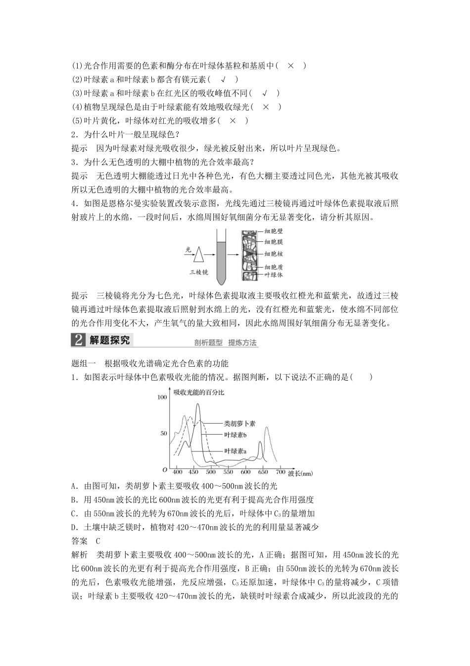 新高考生物一轮复习 第三单元 细胞的能量代谢 第10讲 光合作用（Ⅰ）学案（含解析）北师大版-北师大版高三全册生物学案_第2页