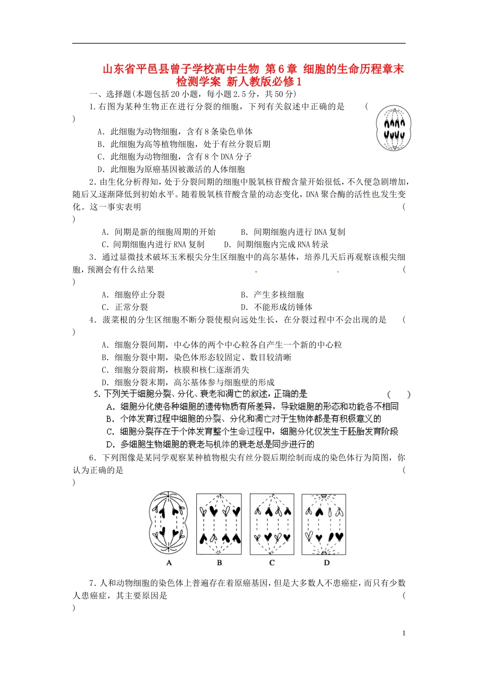 山东省平邑县曾子学校高中生物 第6章 细胞的生命历程章末检测学案 新人教版必修1 _第1页