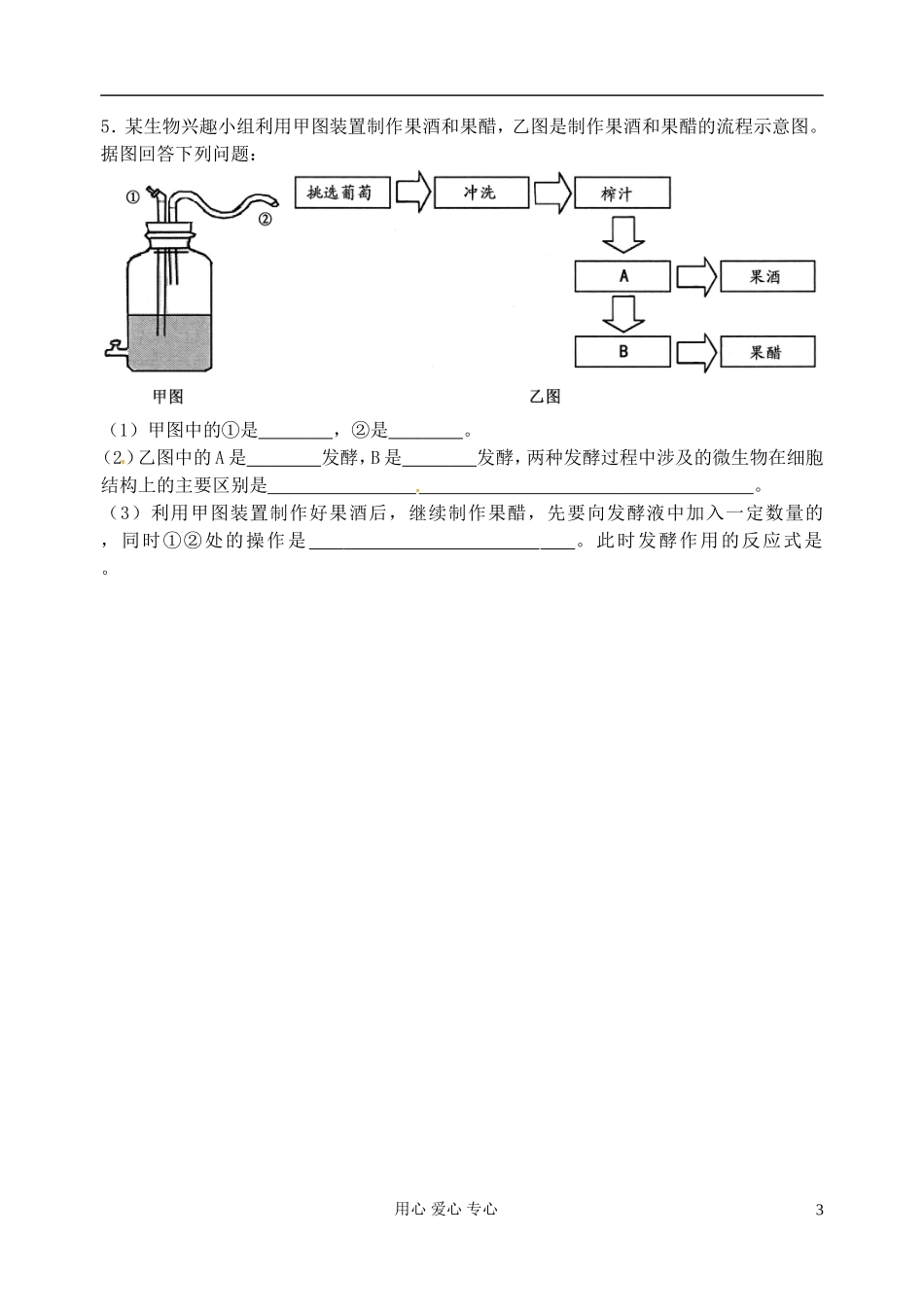 江苏省淮安中学高三生物总复习 13-1果酒、果醋和腐乳的制作学案_第3页