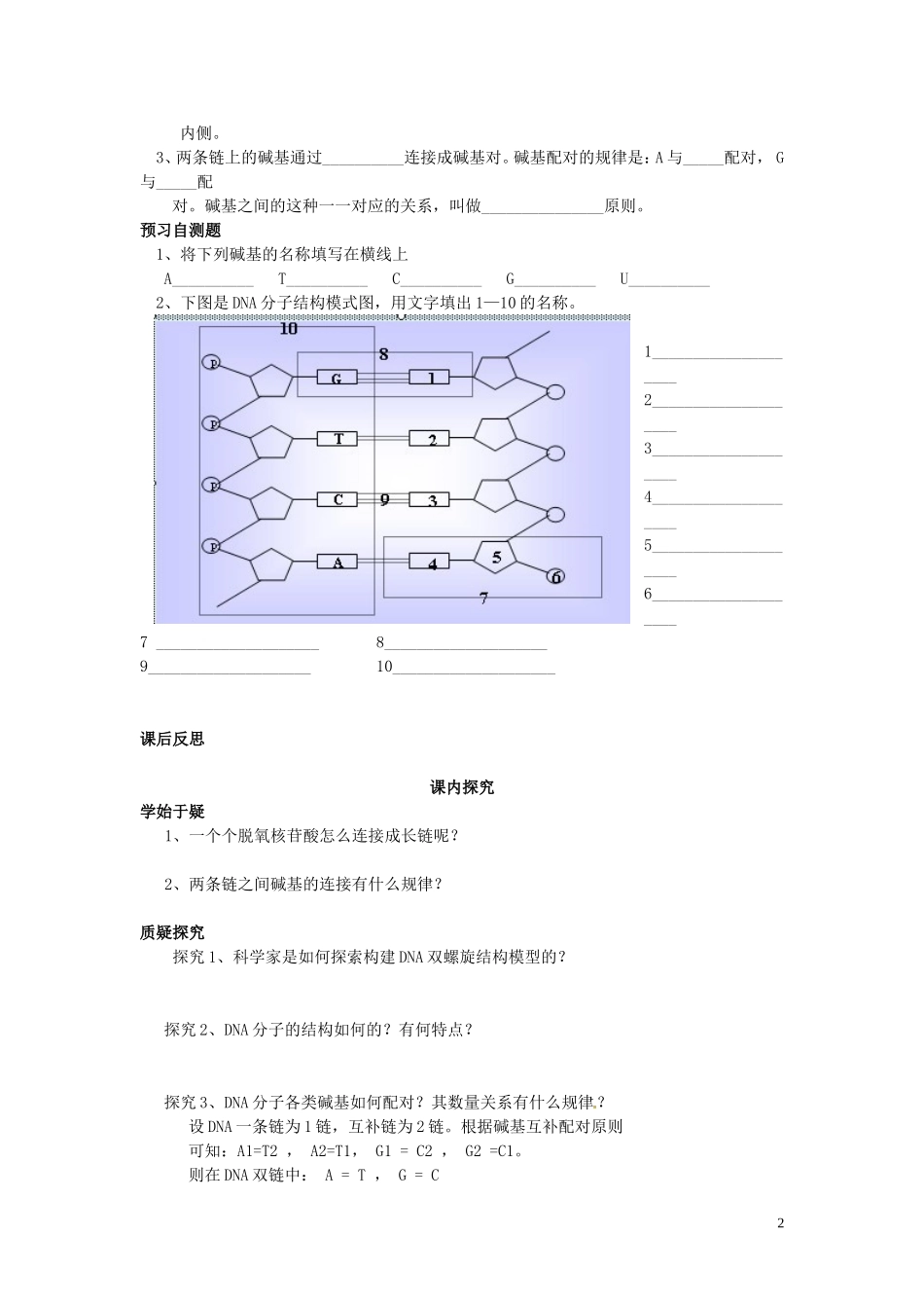 四川省岳池县第一中学高中生物 3.2 DNA分子的结构学案 新人教版必修2_第2页
