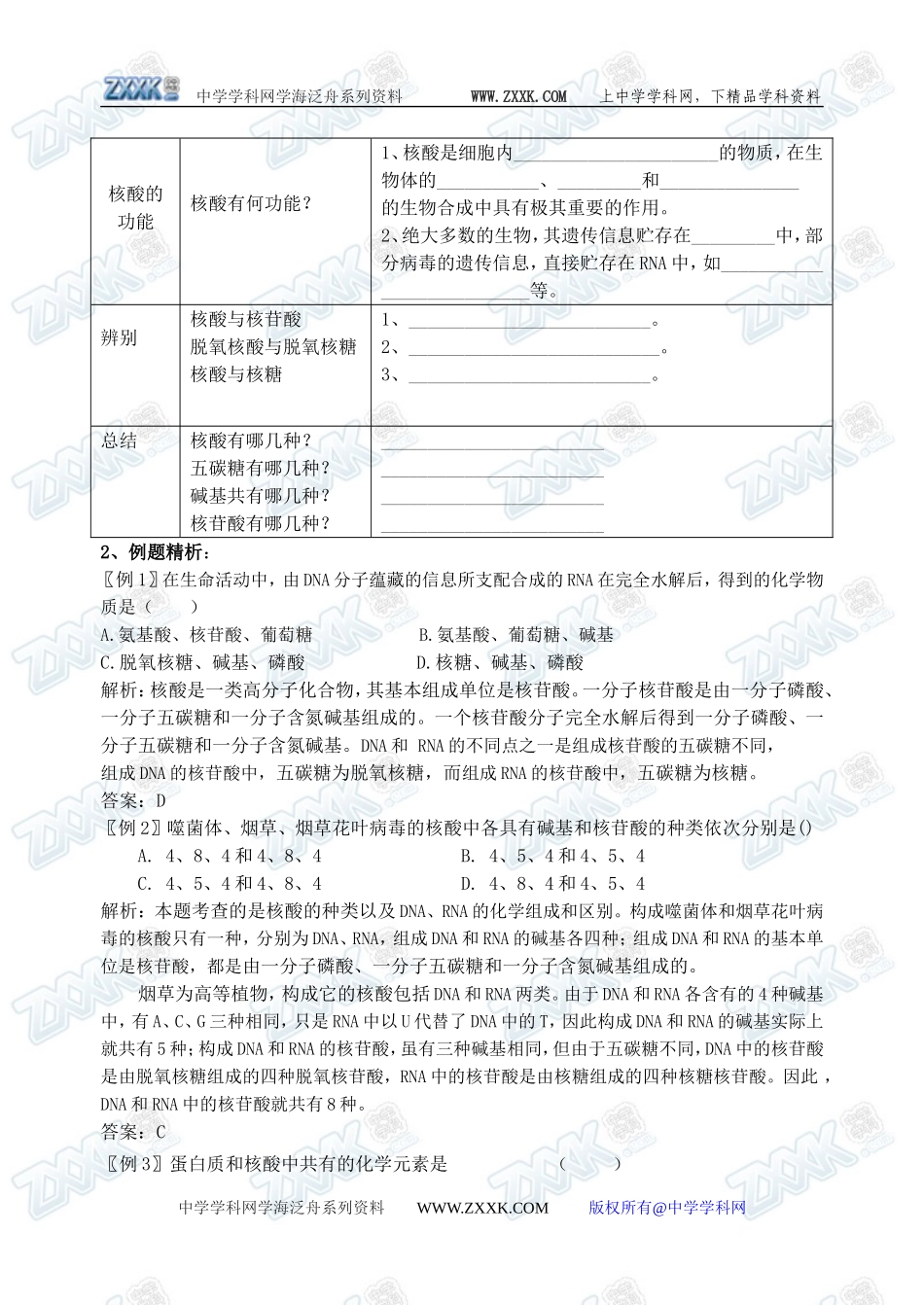 新人教必修1高中生物学案05第2章第3节 遗传信息的携带者——核酸_第2页