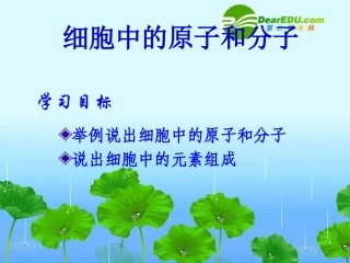 高一生物-2.1《细胞中的原子和分子》备课课件(苏教版必修1)