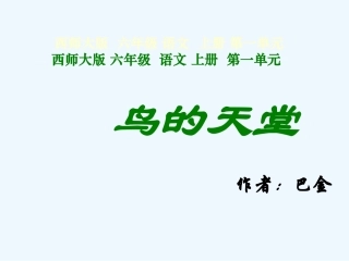 (西师大版)六年级语文上册课件鸟的天堂1(1)