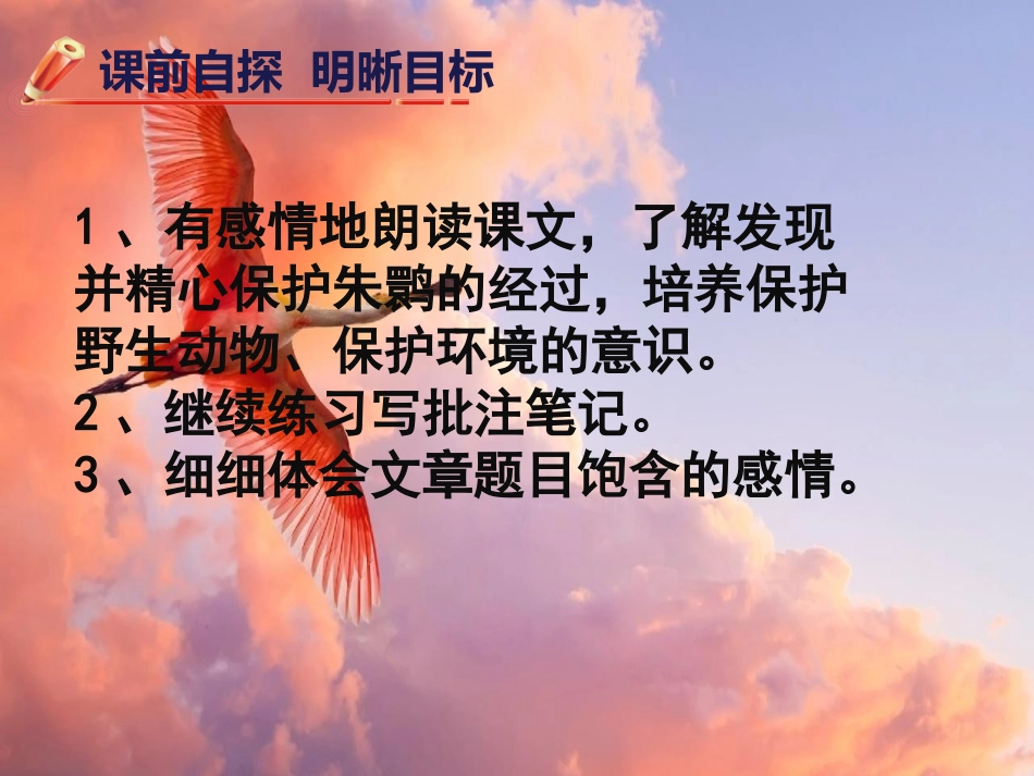 朱鹮飞回来了_第2页