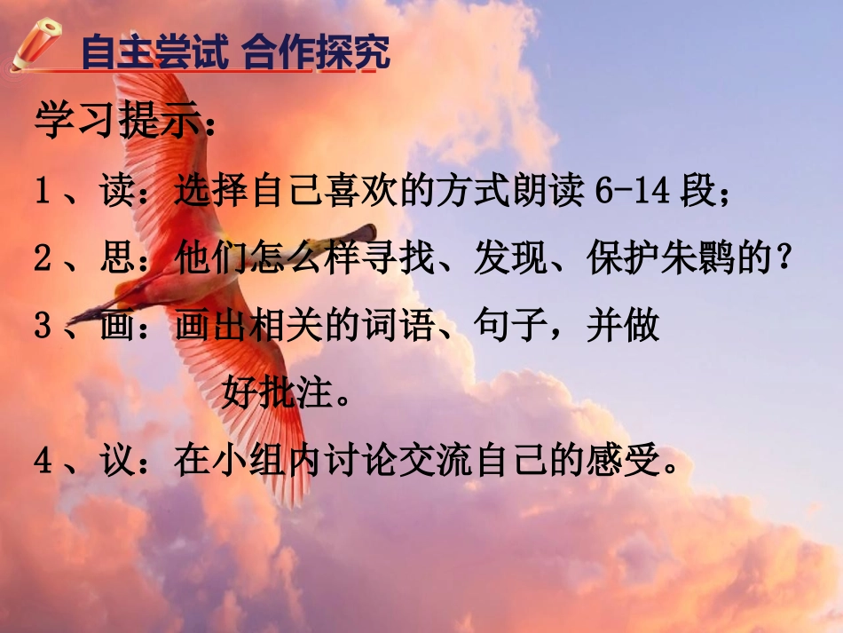 朱鹮飞回来了_第3页