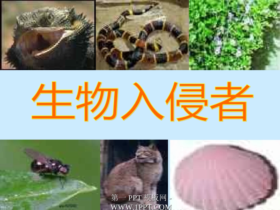 表明你的态度_第1页