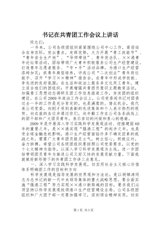 书记在共青团工作会议上讲话发言