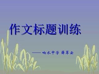 作文标题训练.rar