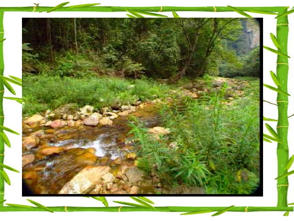 《生态系统》说课课件_第1页