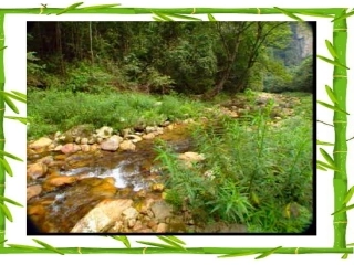 《生态系统》说课课件