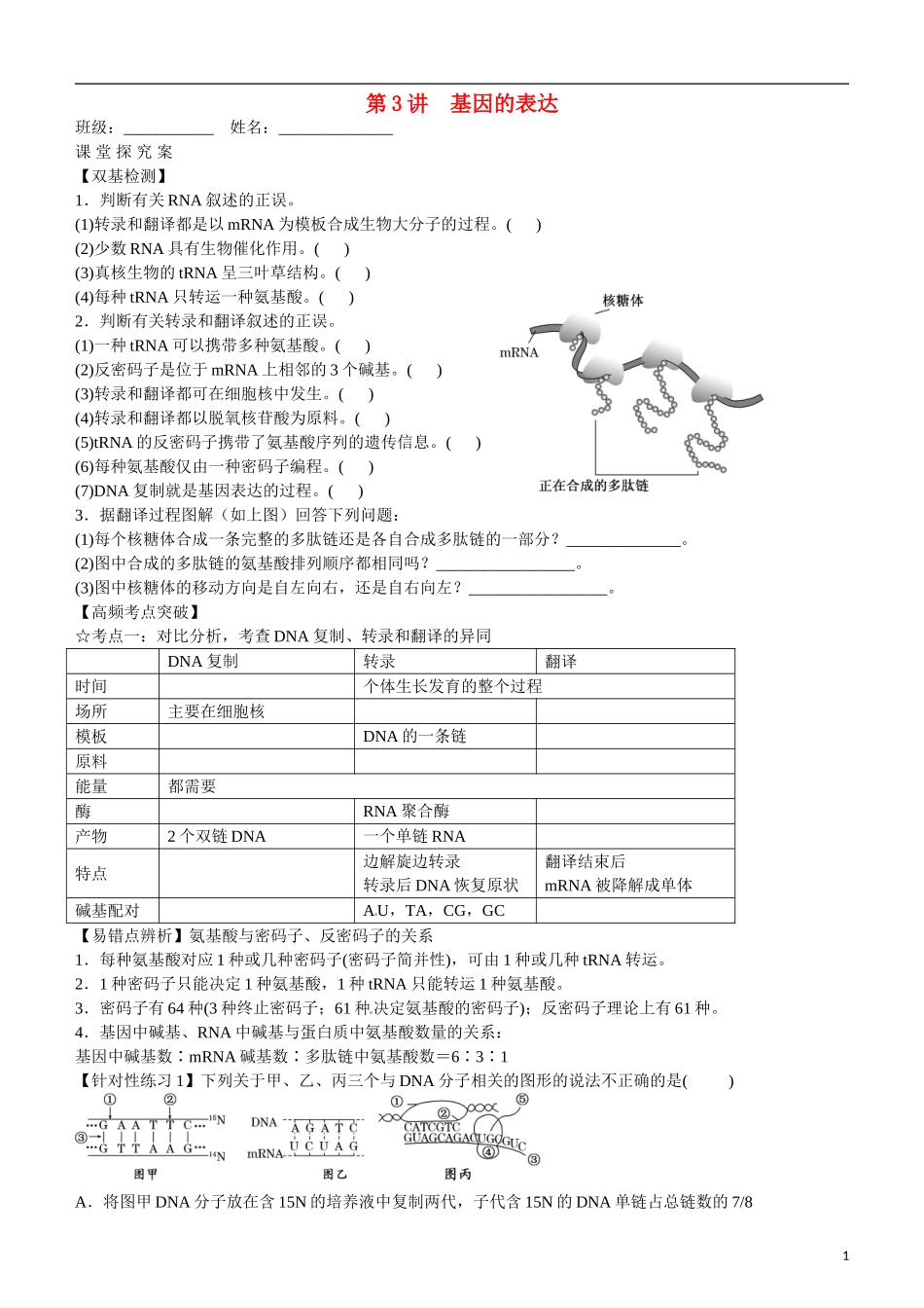山东省乐陵市第一中学高考生物总复习 第19讲 基因的表达学案_第1页