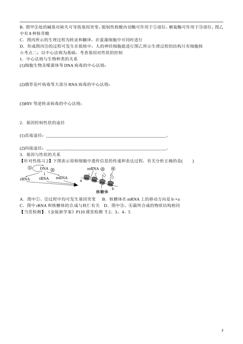 山东省乐陵市第一中学高考生物总复习 第19讲 基因的表达学案_第2页