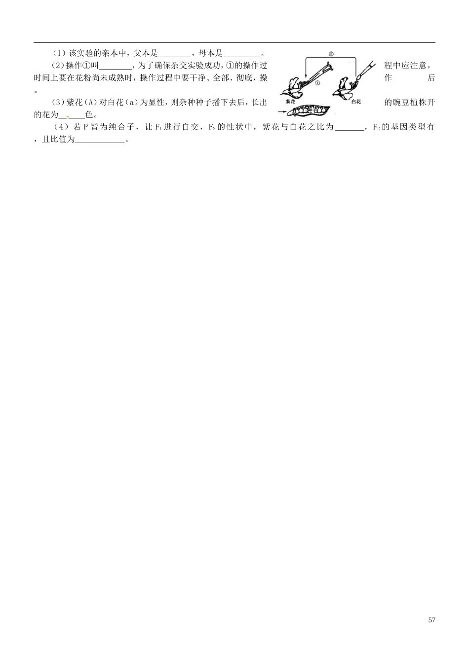 浙江省临海市白云高级中学高三生物 一对相对性状的杂交实验复习导学案 _第3页