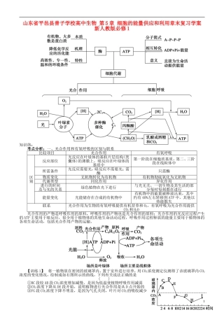 山东省平邑县曾子学校高中生物 第5章 细胞的能量供应和利用章末复习学案 新人教版必修1