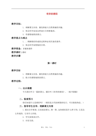 六年级语文上册 奇异的琥珀教案 语文S版