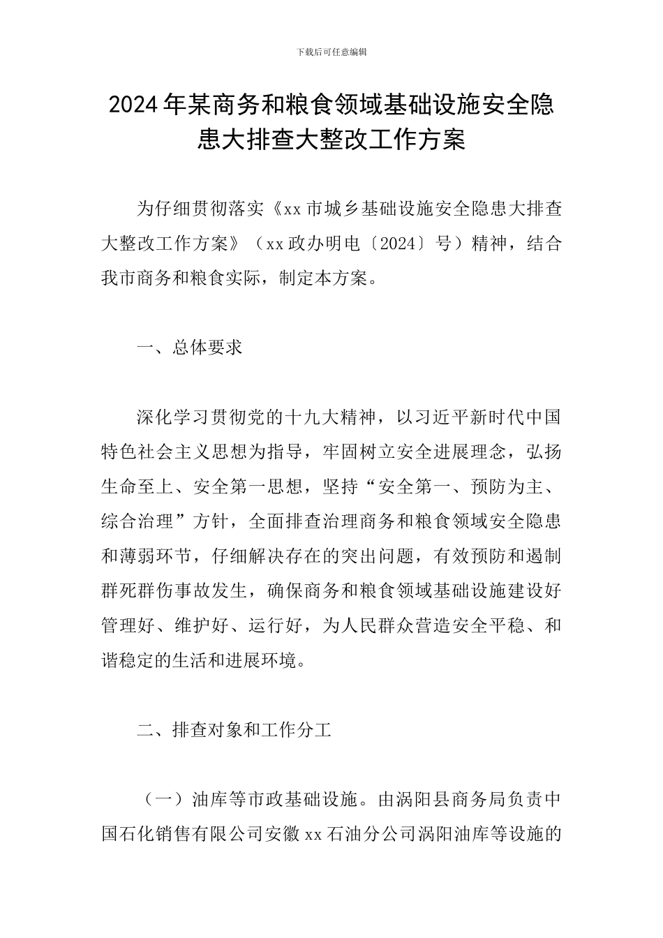 2024年某商务和粮食领域基础设施安全隐患大排查大整改工作方案_第1页