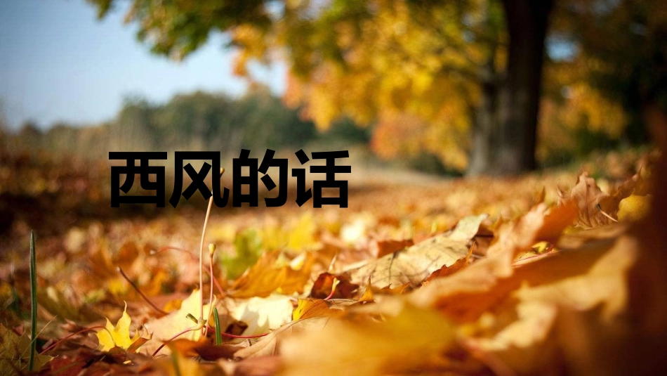 西风的话-(2)_第2页
