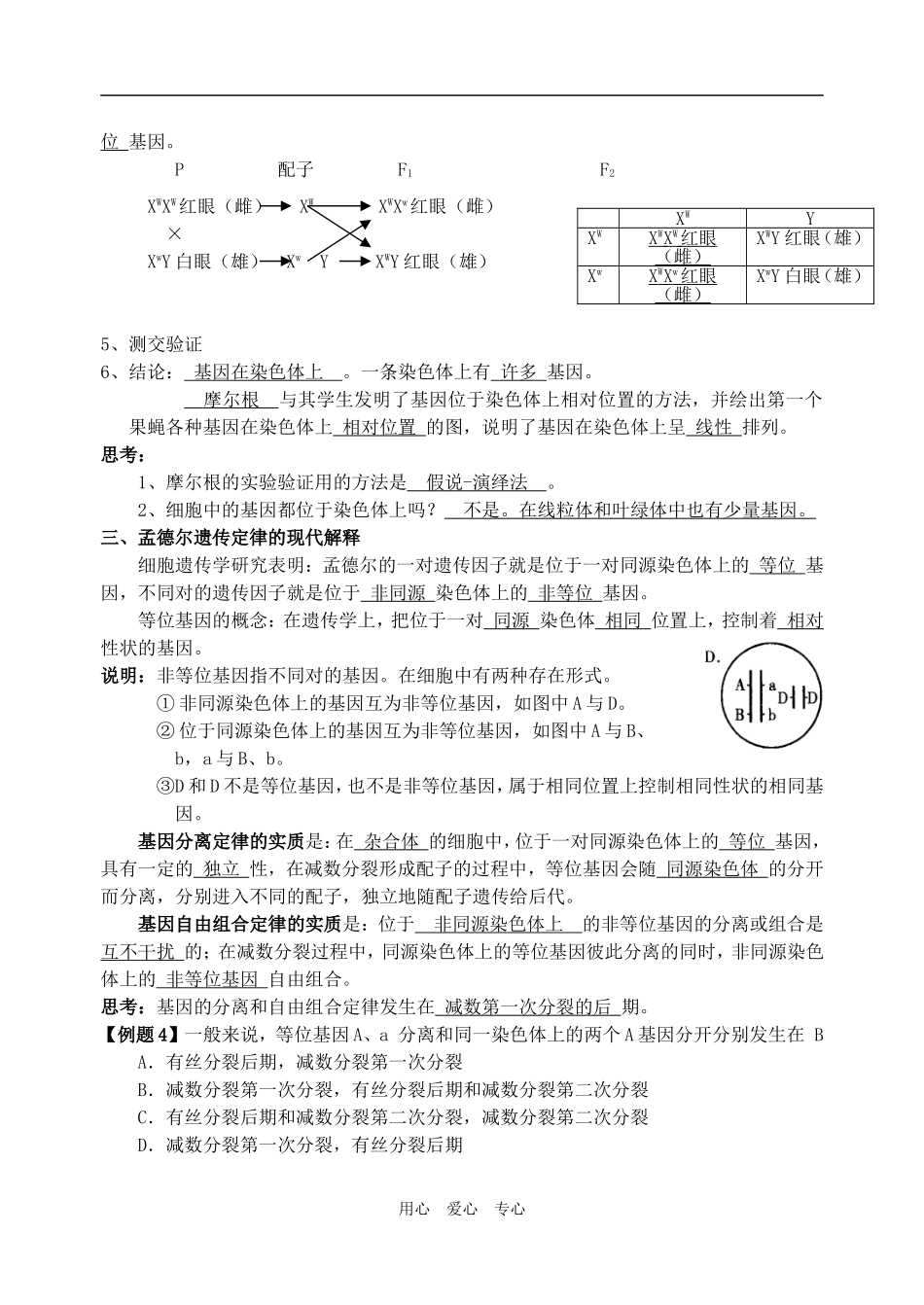 江苏省泰兴中学高中生物基因在染色体上教学案人教版必修二_第3页