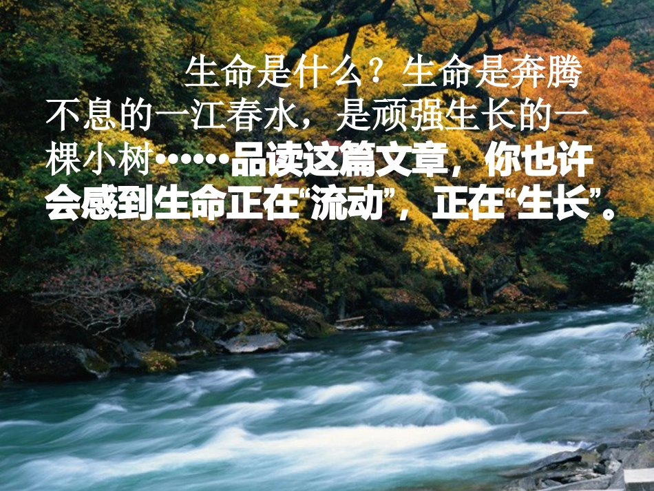 新疆石河子第十八中学九年级语文《谈生命》课件_第3页