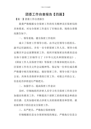 团委工作自查报告