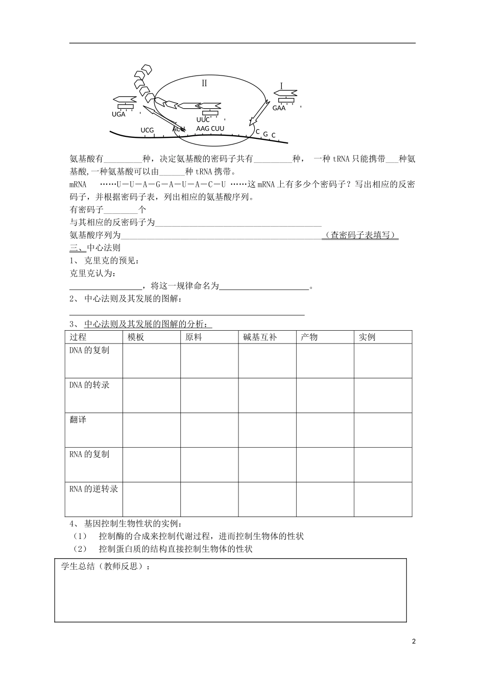 江苏省盐城市射阳二中高一生物 基因控制蛋白质的合成教学案_第2页