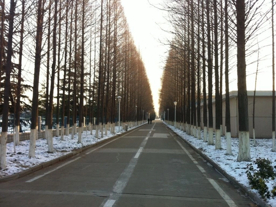 《远去的路》课件_第3页