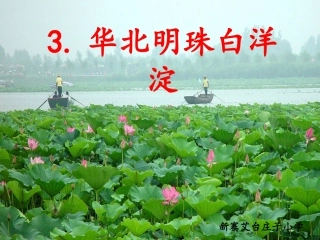 4华北明珠白洋淀