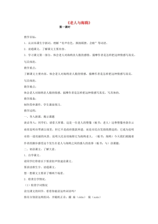 六年级语文上册 老人与海鸥教案 新人教版