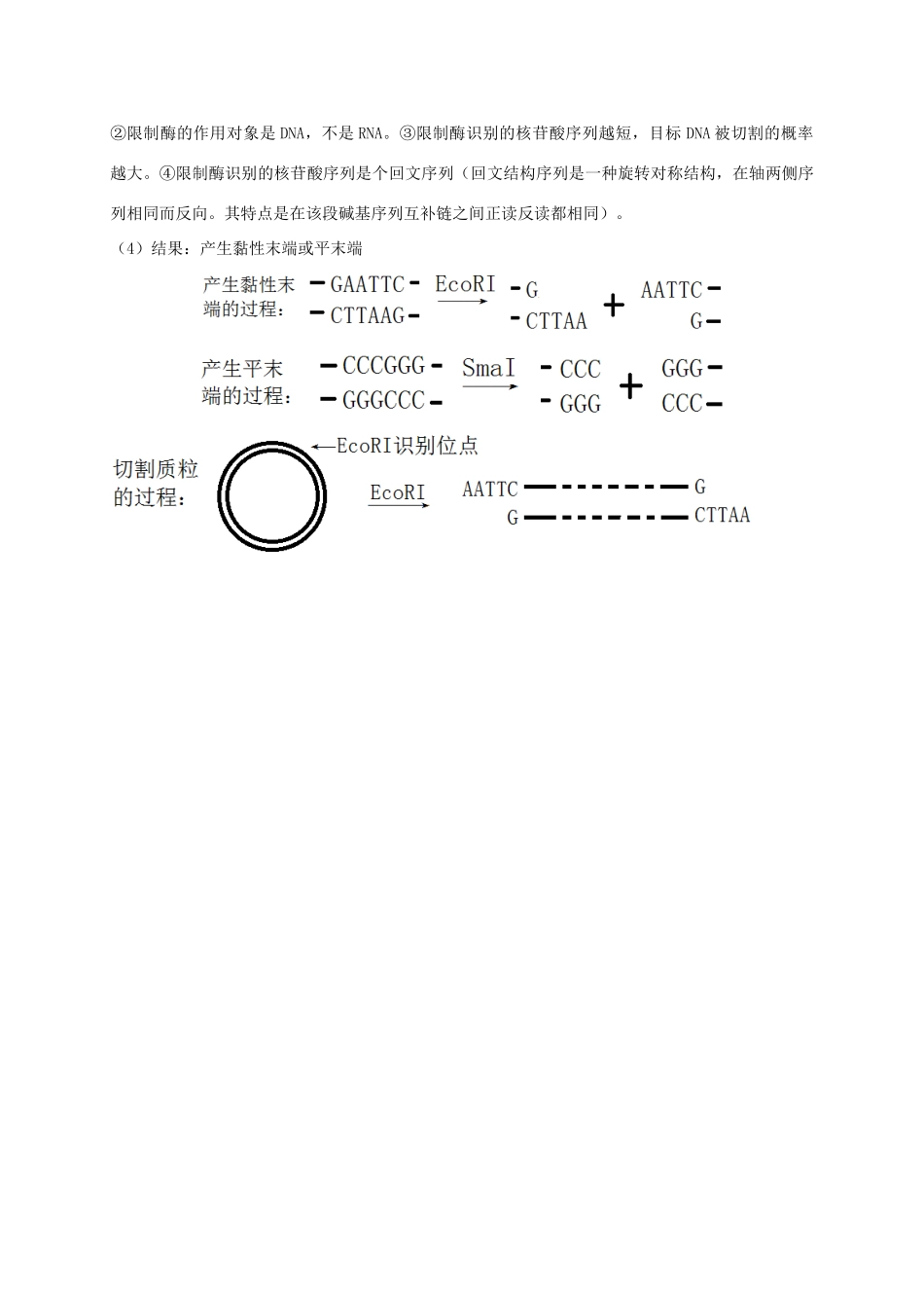 江苏省徐州市高考生物总复习 选考专题一 基因工程学案-人教版高三全册生物学案_第2页