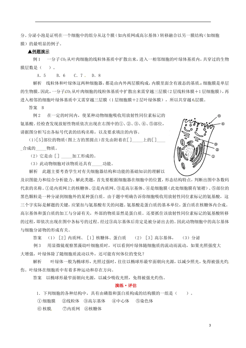 云南省西盟佤族自治县第一中学高考生物总复习《3.2 细胞器 系统内的分工合作》学案（1）新人教版必修1_第3页