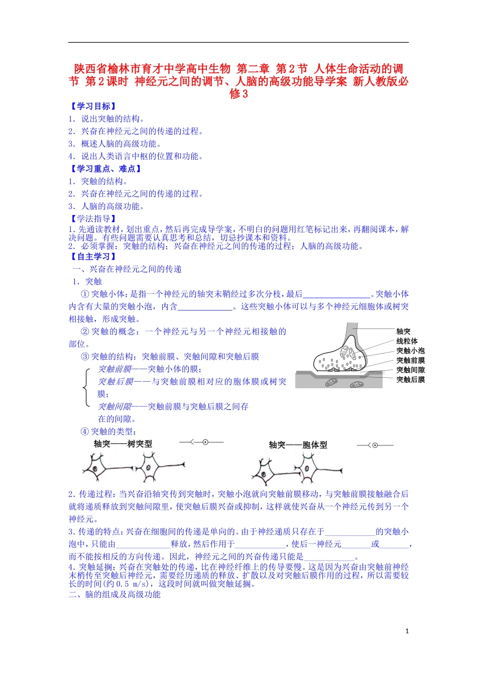 陕西省榆林市育才中学高中生物 第二章 第2节 人体生命活动的调节 第2课时 神经元之间的调节、人脑的高级功能导学案 新人教版必修3_第1页