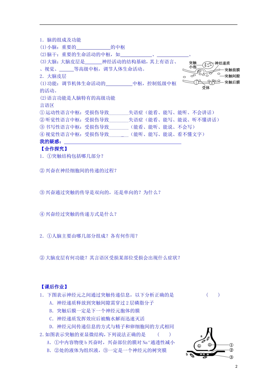 陕西省榆林市育才中学高中生物 第二章 第2节 人体生命活动的调节 第2课时 神经元之间的调节、人脑的高级功能导学案 新人教版必修3_第2页