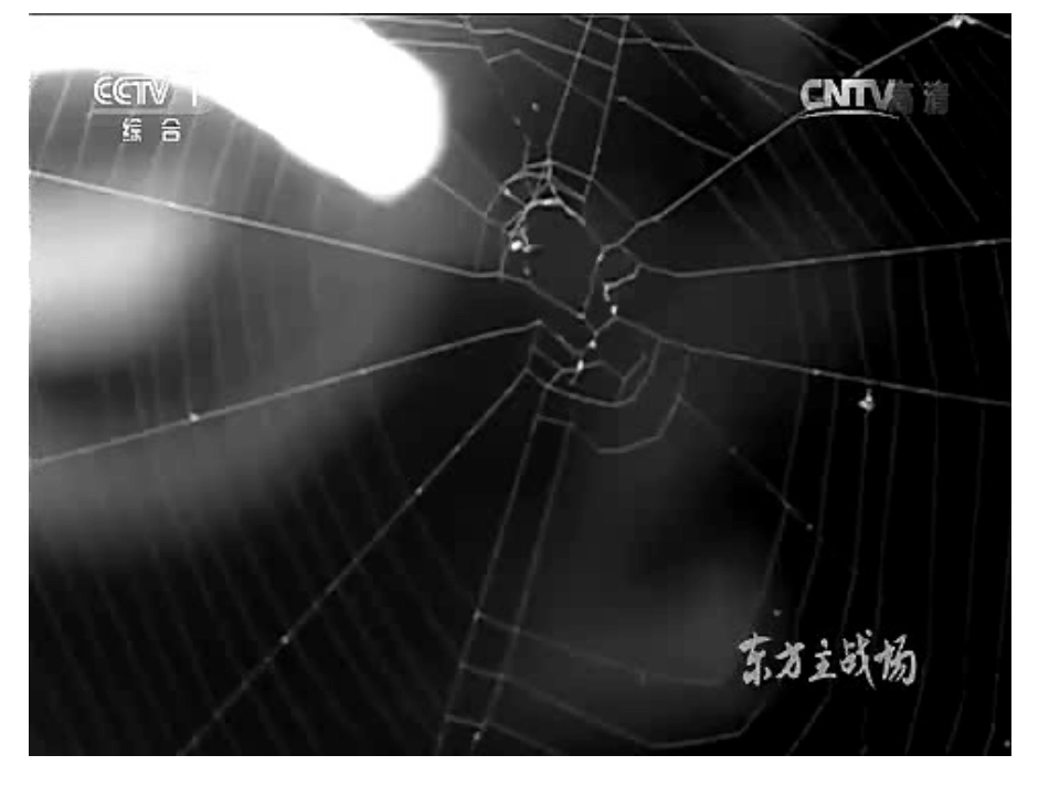 第19课七七事变与全民族抗战-(4)_第2页