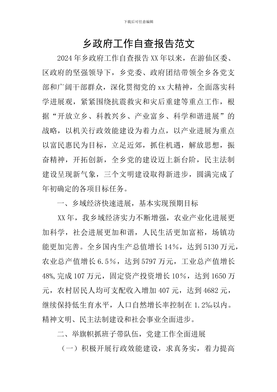 乡政府工作自查报告范文_第1页