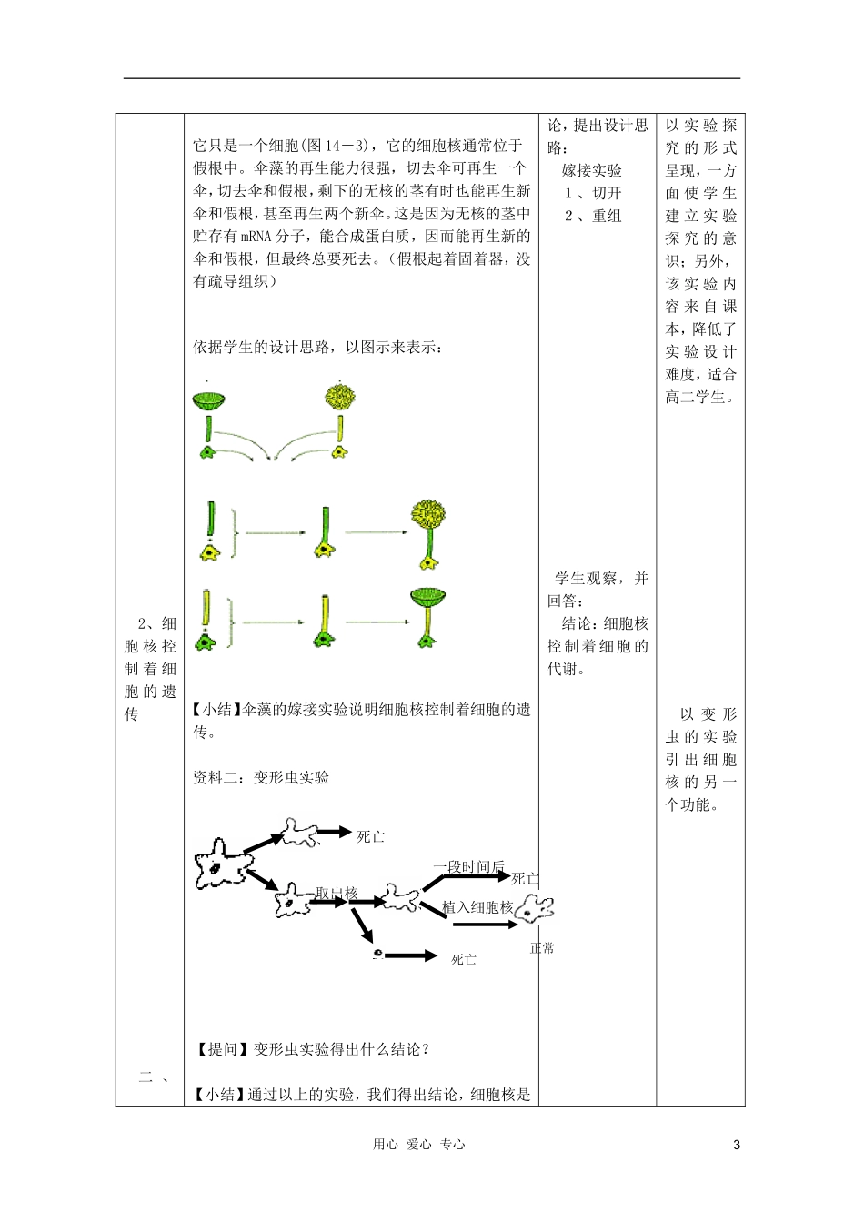 浙江省温州市乐清中学高中生物 第二章《1-24细胞核》学案 必修1_第3页