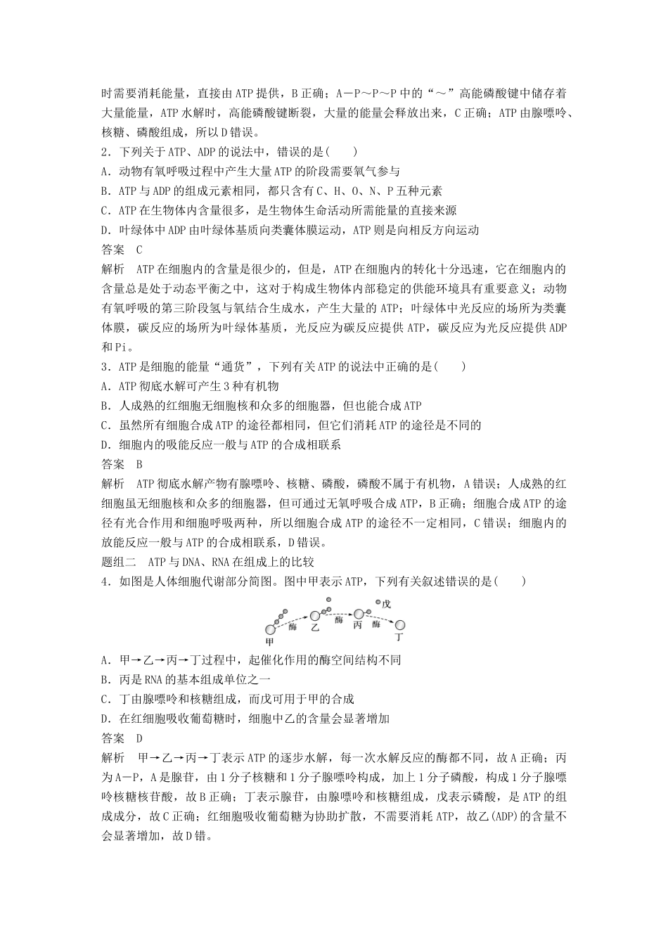 新高考生物一轮复习 第三单元 细胞的能量代谢 第9讲 生命活动的直接能源-ATP与细胞呼吸学案（含解析）北师大版-北师大版高三全册生物学案_第3页