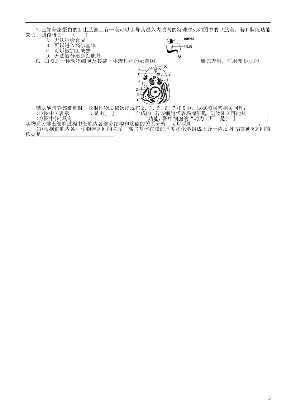 山东省平邑县曾子学校高中生物 第3章第2节 细胞器 系统内的分工合作（二）学案 新人教版必修1_第3页