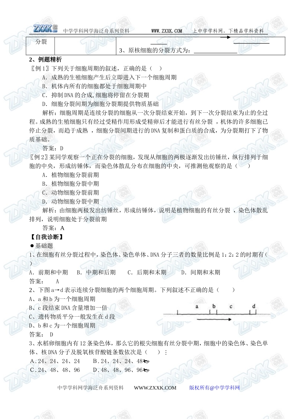 新人教必修1高中生物学案18第6章第1节 细胞的增殖_第3页