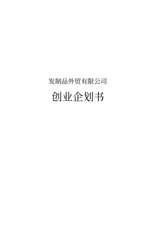发制品外贸有限公司创业项目计划书