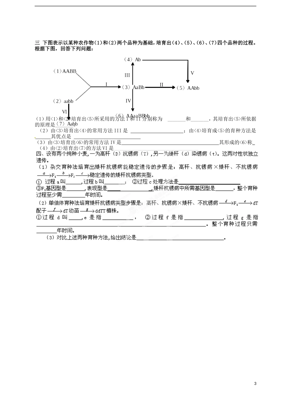 山东省武城县第二中学高中生物《第六章 第1节 杂交育种与诱变育种》学案 新人教版必修2_第3页