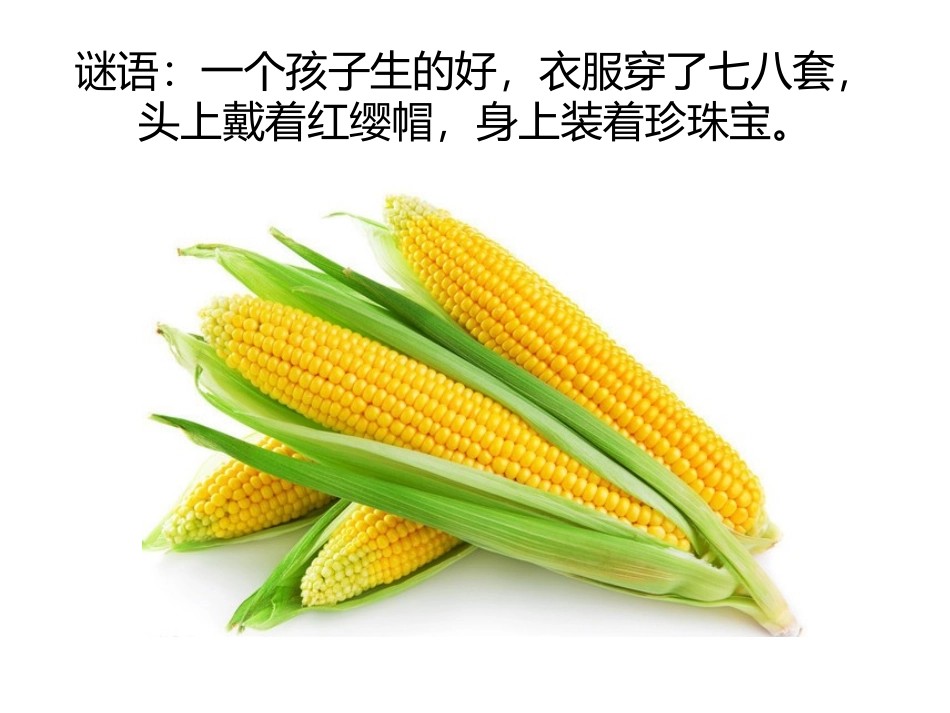 第十一课中国结艺_第2页