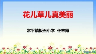 6花儿草儿真美丽